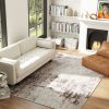 Machine Washable Area Rug 5x7, Non-Slip Traditional Floor Carpet For Living Room, Bedroom, Light Mixed-Brown