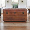 Brown Buffalo hide leather Storage Trunk