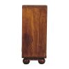 Larissa 2 Door Chestnut Cabinet