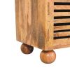 Oakridge Leather Shoe Cabinet