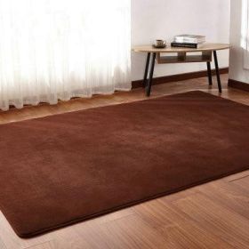 Living Room Rug Area Solid Carpet Fluffy Soft Home Decor White Plush Carpet Bedroom Carpet Kitchen Floor Mats White Rug Tapete (Color: Browna, size: 100X200Cm)