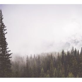 TAP -- Wall Covering Fabric (Option: TAP054-150x170cm)